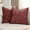 Burgundy, variant on Rust Chenille Throw Pillow Covers 20x20 Inch Set of 2,Soft Cozy Bound Edge Design Cushion Case,Home Decor for Couch Bed Living Room