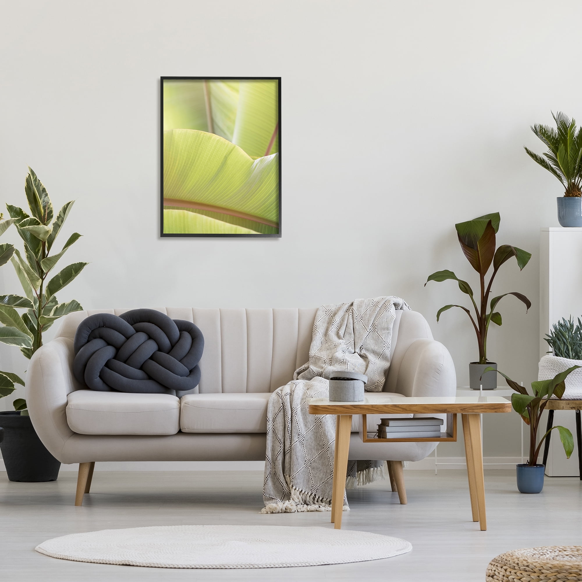 Stupell Modern Botanical Close Up Leaf Botanical & Floral Photography Black Framed Art Print Wall Art