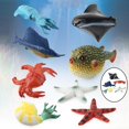thumbnail image 3 of HILABEE 5 Pcs Modèle d'Animaux Marins en Plastique Créatures Marines Modèle Calmar Matelassé Crabes Rouges Précoces Ensemble, 3 of 9