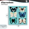 thumbnail image 4 of Stupell Industries Six Diverse Butterflies on Turquoise Wall Plaque Art, design by Metka Hiti, 4 of 8