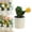 D, variant on Artificial Cactus Plants, Flowered Fake Potted Cactus Plastic Pot, Faux Cactus Succulent Potted Plant Office Desk Shelf Decor, Artificial Cactus Plants For Home Office Tabletop Decor