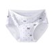 thumbnail image 2 of Ropa Interior Transpirable para las Mujeres Encaje Cadera Levantar Pantalones de Cintura Alta Pantalones de Control Del Vientre, Cómodos Pantalones de Mujer Ropa Interior para el Uso Diario, 2 of 4