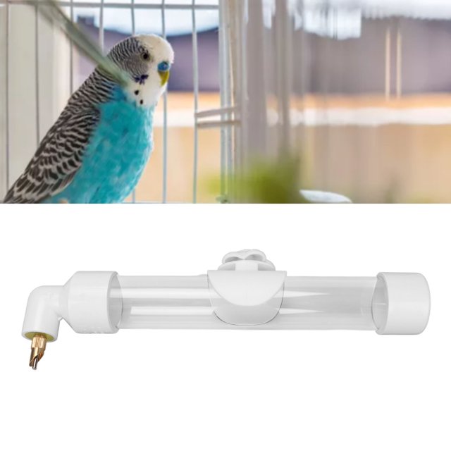 Bebedero para Pájaros de 260ml Bebedero para Mascotas Alimentador Acrílico para Pájaros Botella de Agua para Pájaros Alimentador de Agua para Loros Pequeños Medianos y ANGGREK Otros