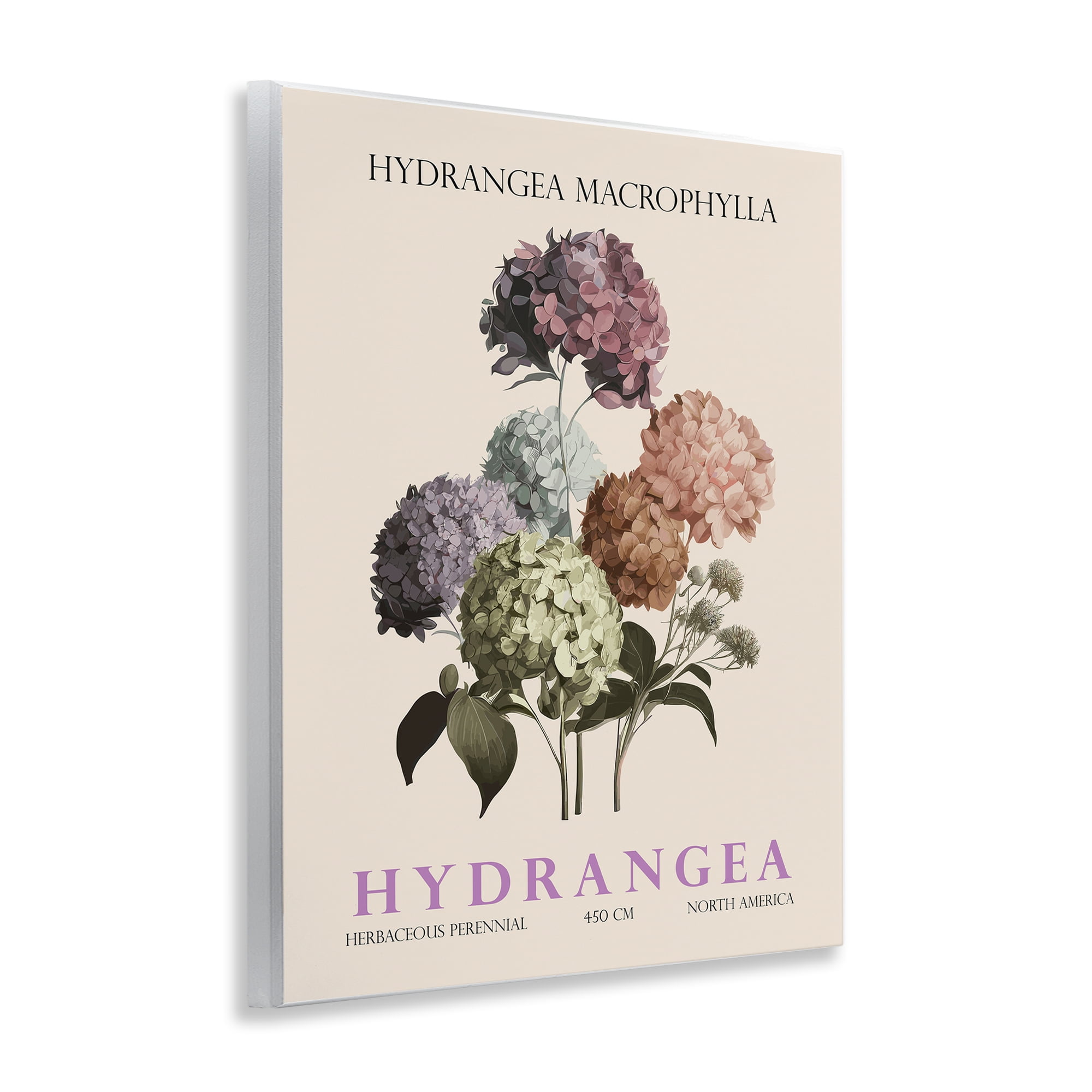 Stupell Industries Nature Hydrangea Bundle Wall Plaque Art, design by Christopher Giampietro