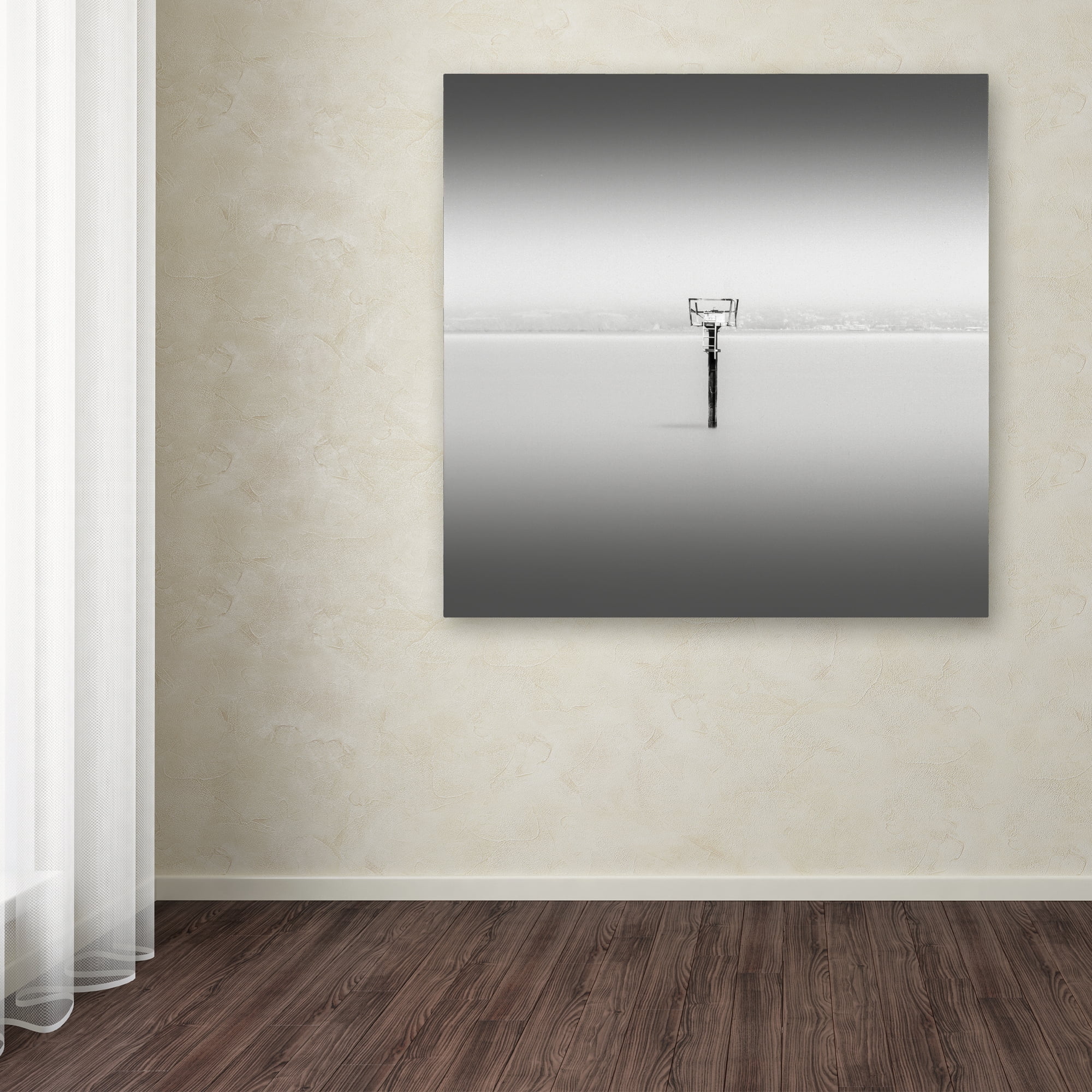 Trademark Fine Art "Isolation" Canvas Art by Dave MacVicar