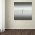 thumbnail image 4 of Trademark Fine Art "Isolation" Canvas Art by Dave MacVicar, 4 of 4
