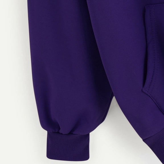 Vedolay Fall Tops Womens Oversized Crewneck Long Sleeve Pullover Fall Hoodie Sweatshirt,Purple 3XL