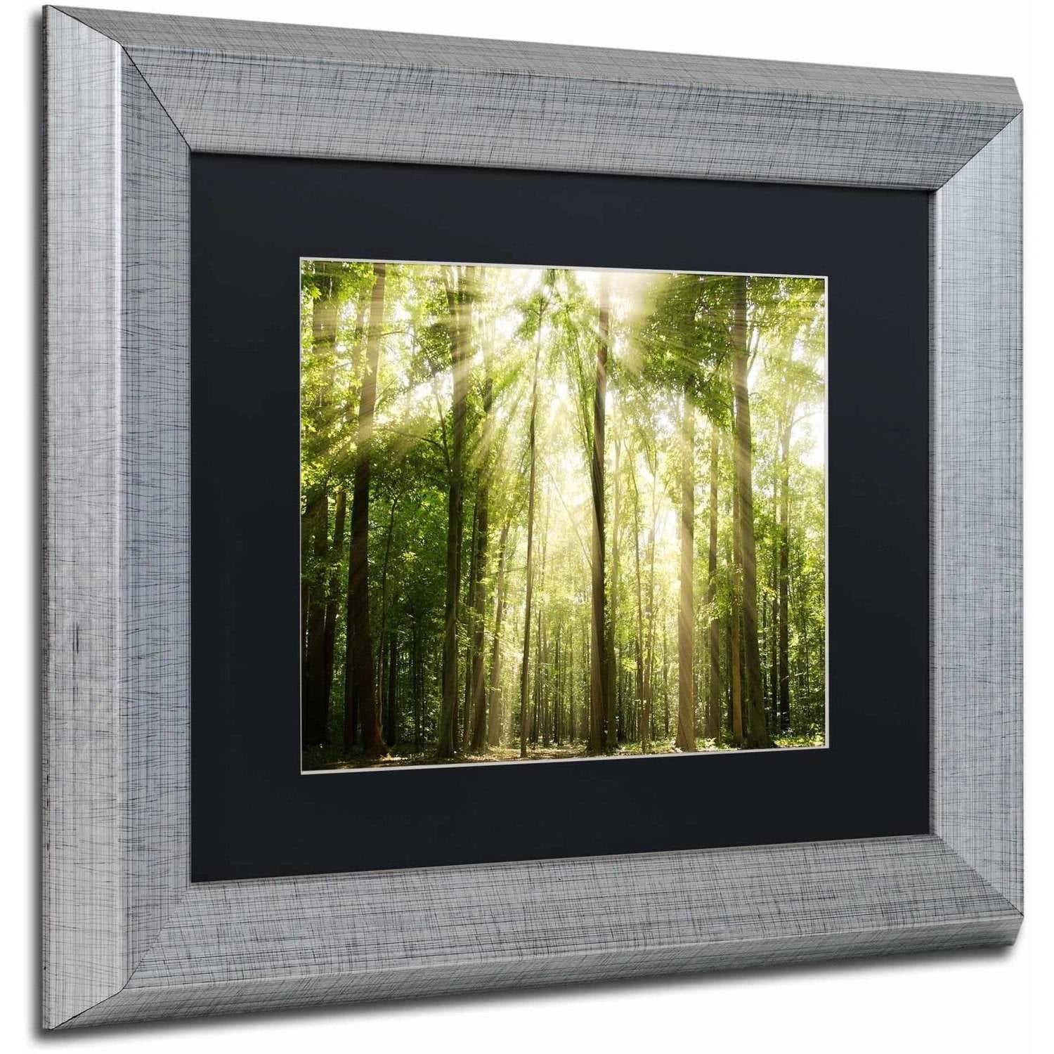Trademark Fine Art 'Sunrays Through Treetops' Canvas Art by PIPA Fine Art, Black Matte, Silver Frame