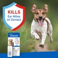 thumbnail image 3 of Tratamiento contra ácaros Adams para perros y gatos, 15 ml, 3 of 8