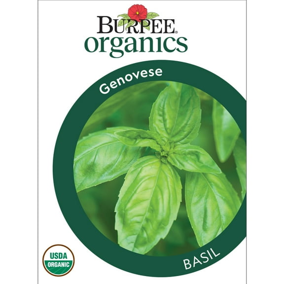Burpee Organic Genovese Basil Herb Seed, 1-Pack