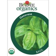 Burpee Organic Genovese Basil Herb Seed, 1-Pack