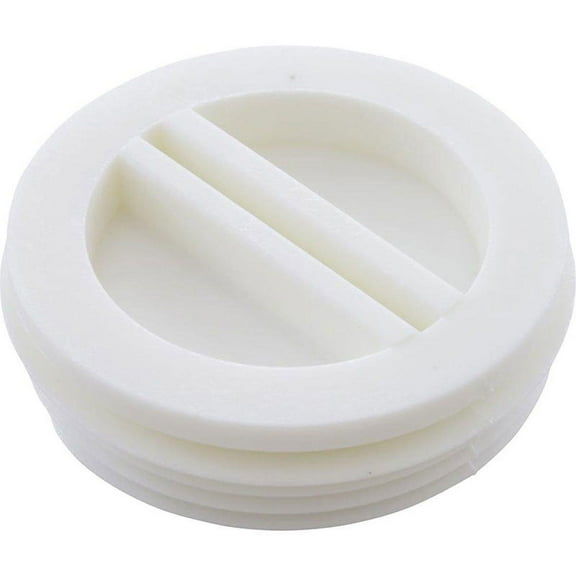 Pentair Rainbow Vac Mate 1-1/2 in. Threaded Plug R22010Z