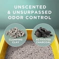 thumbnail image 4 of Purina Tidy Cats Clumping Cat Litter, Free & Clean Unscented Multi Cat Litter - 38 lb. Box, 4 of 5