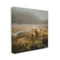 thumbnail image 4 of Stupell Industries Highland Cows Rural Landscape Animals & Insects Photography Gallery Wrapped Canvas Print Wall Art, 24 x 24, 4 of 8