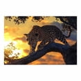 thumbnail image 2 of Mudket Framed Leopard Canvas Wall Art, Sunset Cheetah on Tree Branch Wall Decor, Jungle Animal Print Room Decor for Living Room Office, Ready to Hang - 12"L x 8"W, 2 of 10
