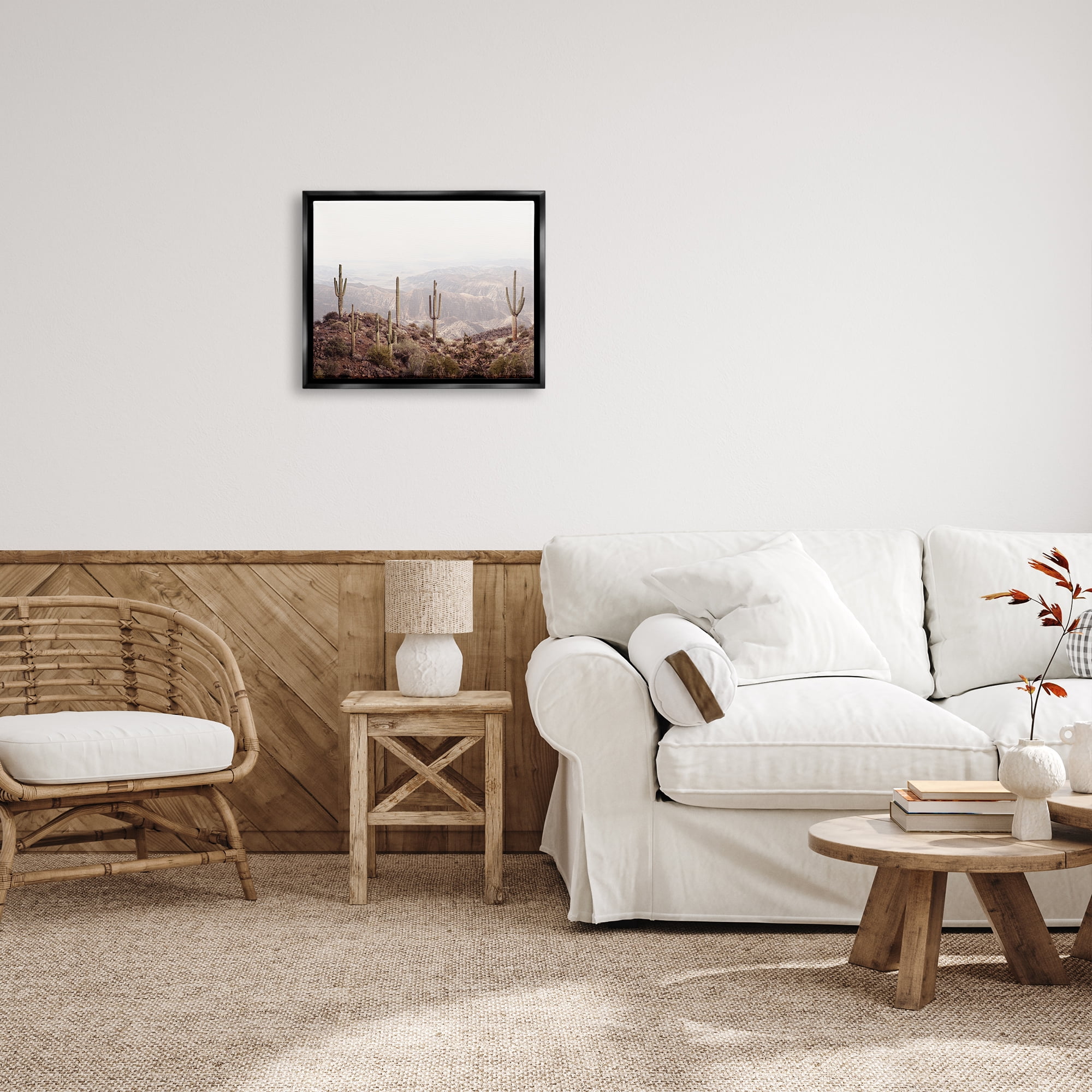 Stupell Industries Cacti Overlooking Desert Nature Photography Black Floater Framed Art Print Wall Art, 21 x 17