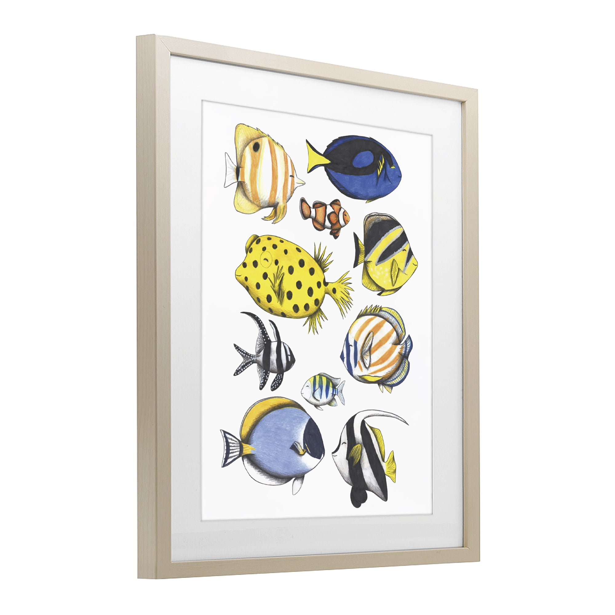 Stupell Industries Aquatic Fishes Collection Birch Framed Print Under Glass, design by Cecilia Battaini