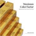 thumbnail image 6 of Hair Solution Gold 90 grams / 3.17 oz Hair Dye Wild 44.55 Color - Hair Dye Permanent + Peroxide Cream Vol 10 + Hair Care Gloves, 6 of 8