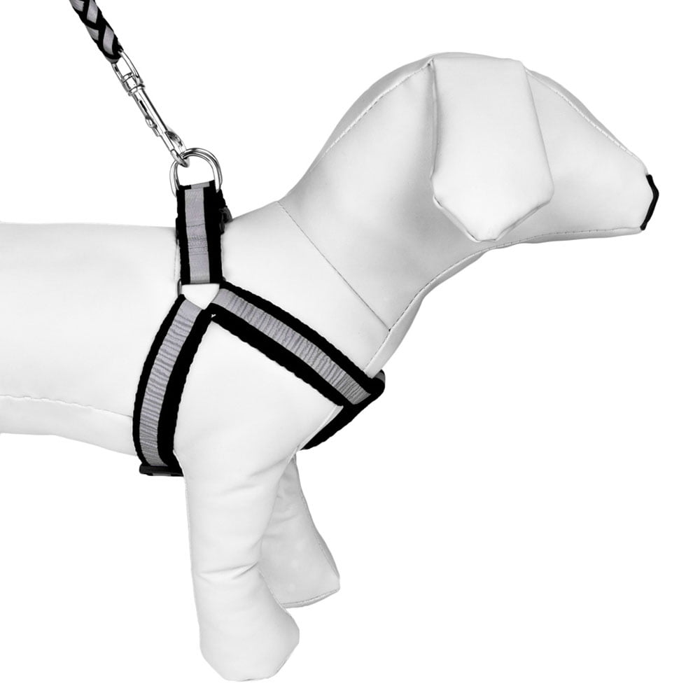CUECUEPET Braided Choke Free Reflective Dog Harness and Leash for Daytime and Evening Walking