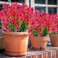 thumbnail image 3 of Flores Artificiales Ramo Falso Decoración Del Hogar Plantas De Simulación De Plástico Flores Para Patio Trasero Jardín Balcón 2 Uds seitruly HA044091-04, 3 of 6