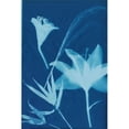 thumbnail image 3 of Guthrie, Jenna 17x24 Black Modern Framed Museum Art Print Titled - Cyanotype No.19, 3 of 5
