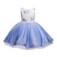 thumbnail image 1 of XZNGL Robe de Princesse Sans Manches en Dentelle pour Tout-Petit Fille, Robe de Fête, Vêtements de Cosplay, 1 of 9