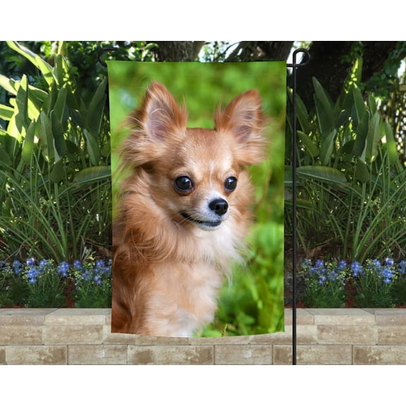 Chihuahua Garden Flag