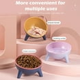 Pet Cat Dog Antitipping Slow Feed Protect Spine Water Food Bowl