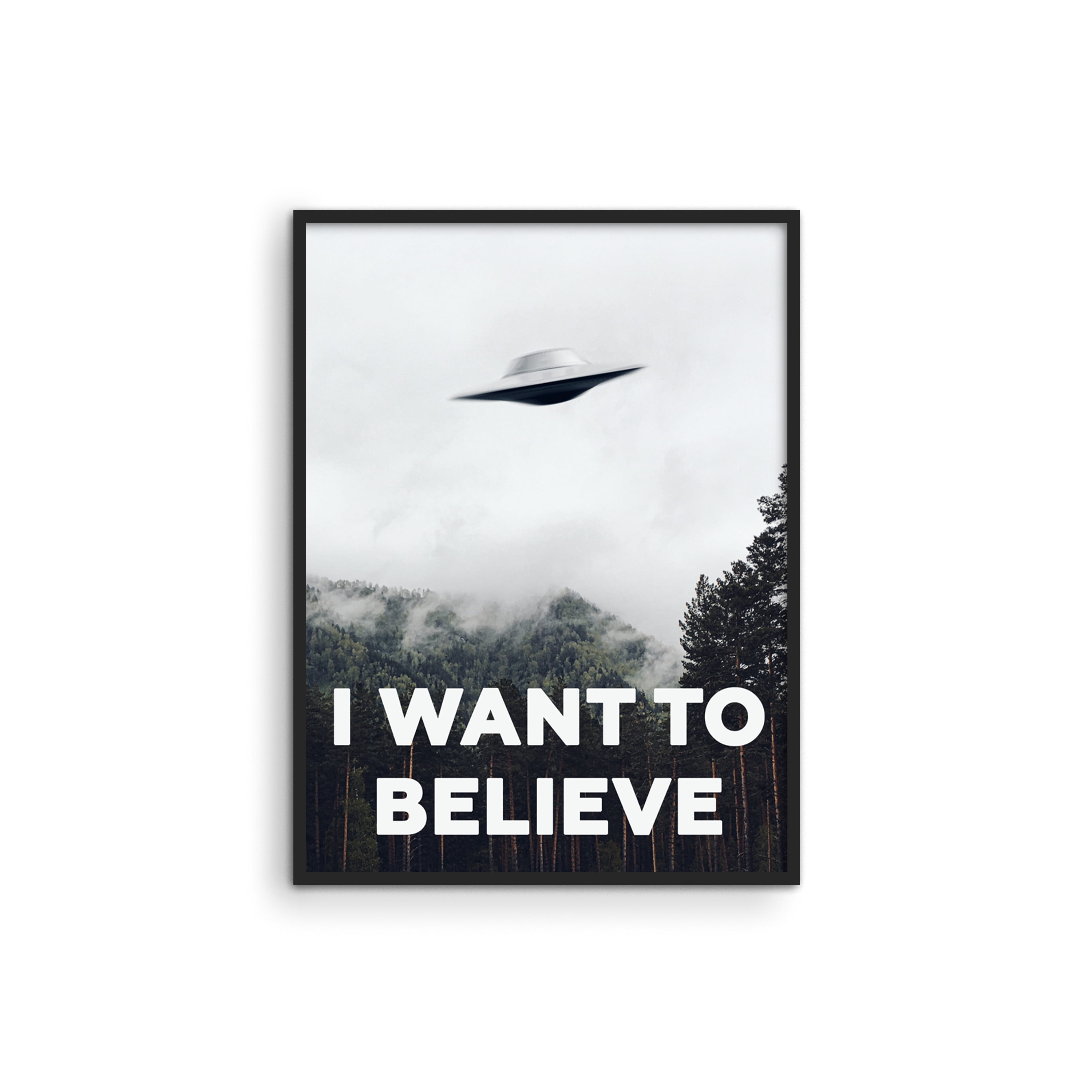 Haus and Hues The X Files I Want To Believe Poster I Want To Believe Posters X Files UFO