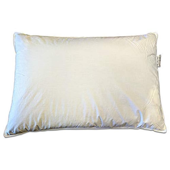 Pillowtex Kyoto Pillow - Half Buckwheat and Half Polyester Pillow - Japanese Style Pillow (Queen (20 Inches x 30 Inches))