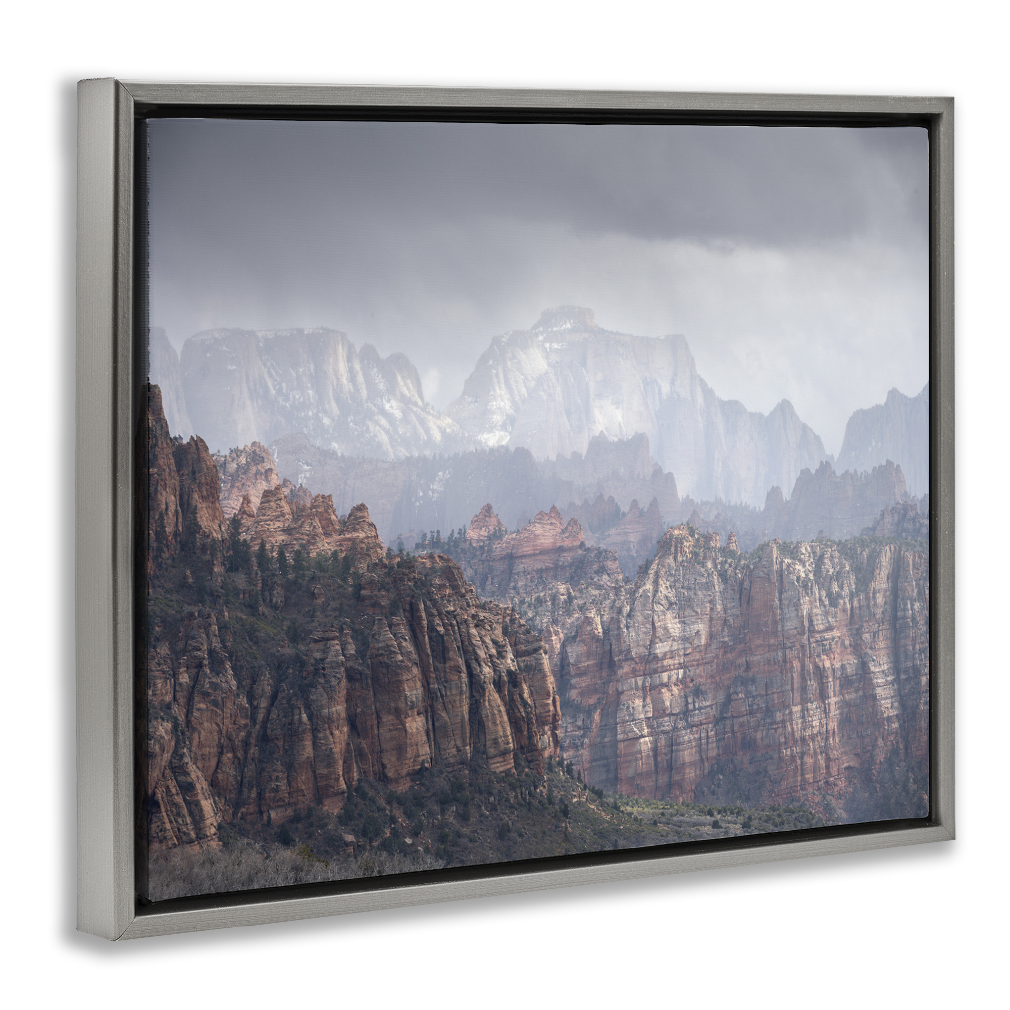 Stupell Industries Zion National Park Landscape Photography Gray Floater Framed Art Print Wall Art, 31 x 25