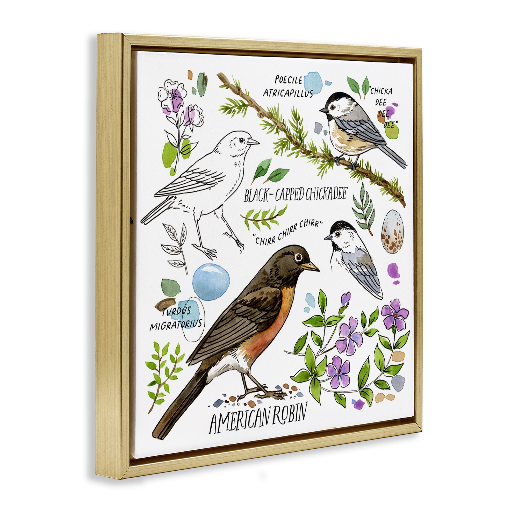 Stupell Industries Local Bird Watching Animals Painting Gold Floater Framed Canvas Art Print Wall Art, 18 x 18