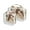 Mothers Day, variant on Clear Makeup Bags with Handle Large Opening 2 Pack Set Toiletry Bag Quart Size Bag, for Women Man Traveling Travel Essentials, Toiletries and Other. Narcissus Daffodil Oil Paint