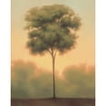 thumbnail image 3 of Gams, Darlou 15x18 Black Modern Framed Museum Art Print Titled - Solitude IV, 3 of 5