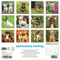 thumbnail image 2 of Chihuahua Puppies 2025 Wall Calendar, 2 of 5
