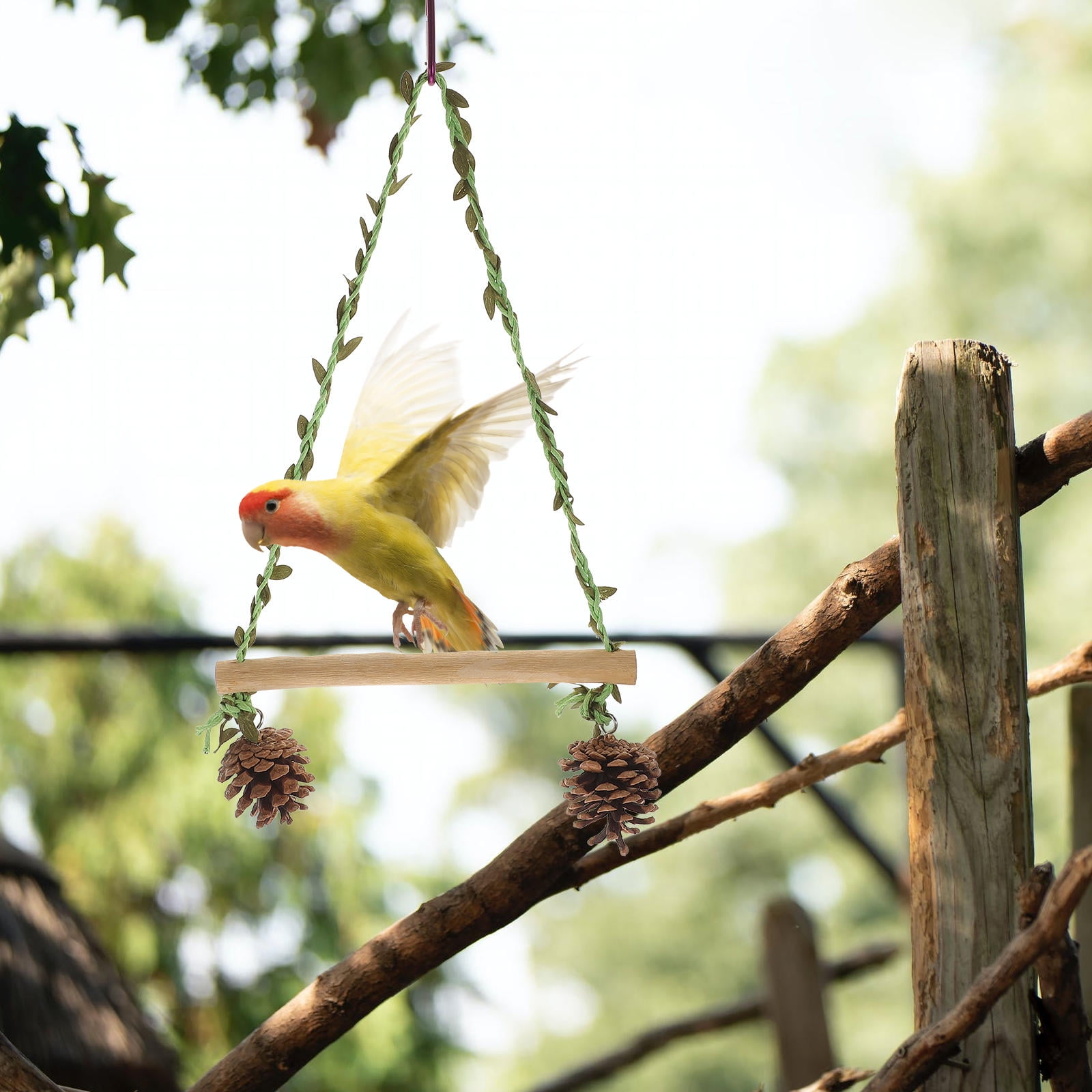 BESTYASH Wooden Bird Swing for Cockatiels with Unique Hanging Design and Entertaining Features for Pet Birds