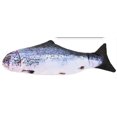 thumbnail image 1 of Floppy Fish Toy - Dog &amp; Cat Toys, 1 of 10