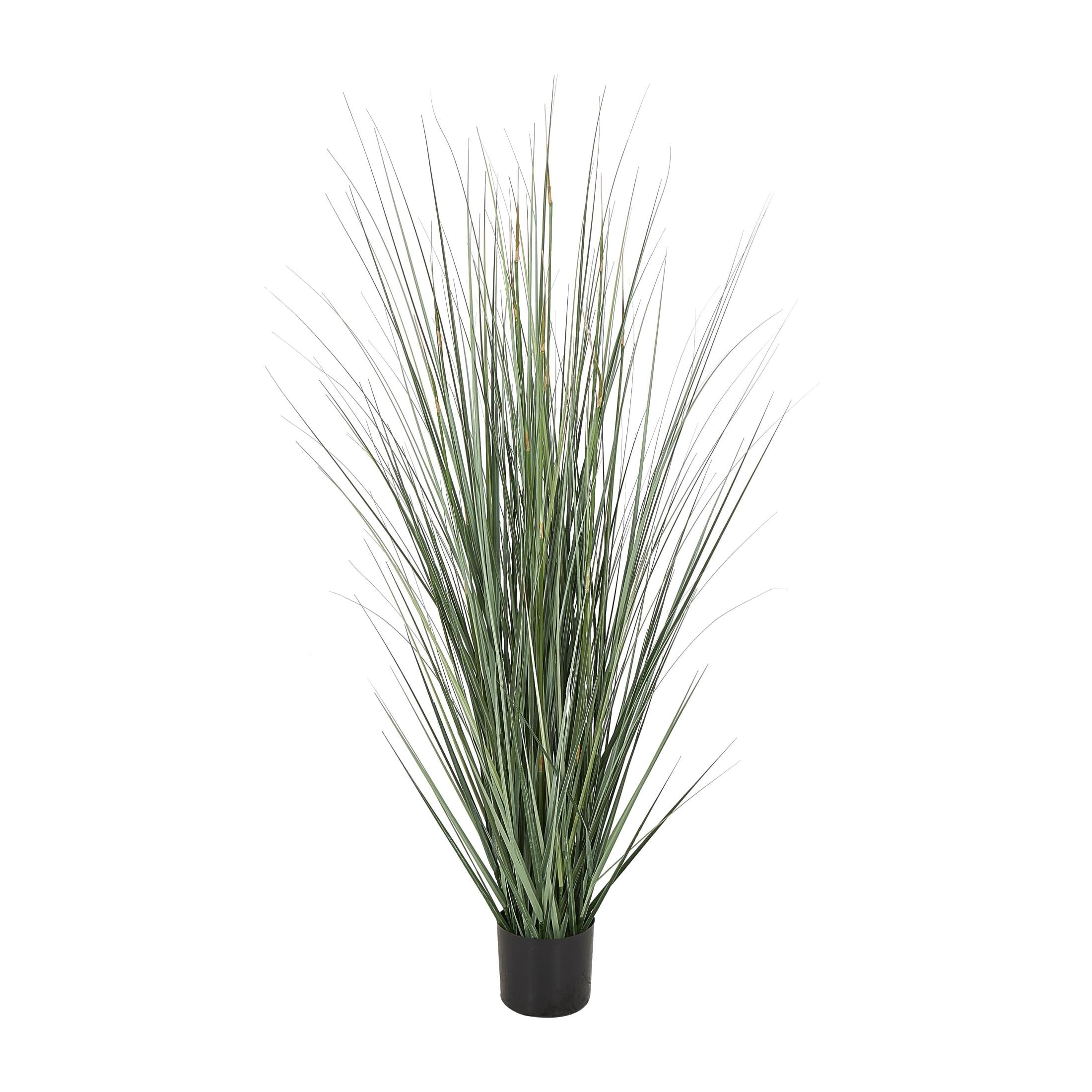 DecMode 61" Tall Artificial Onion Grass Plant in Black Plastic Pot