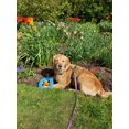 thumbnail image 4 of The Show and Tail, Float and Fetch Fun Waterproof Nylon Pet Throw Toy - AquaPaw, 8.5 Inch Size, Blue, 4 of 4