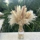 thumbnail image 1 of Pampas Grass 80 piezas de hierba de pampa seca natural de 17,5 pulgadas: 15 piezas de pampas blancas y 15 piezas de pampas marrones y 30 piezas de hierba de caña y 20 piezas de hierba de cola de, 1 of 8