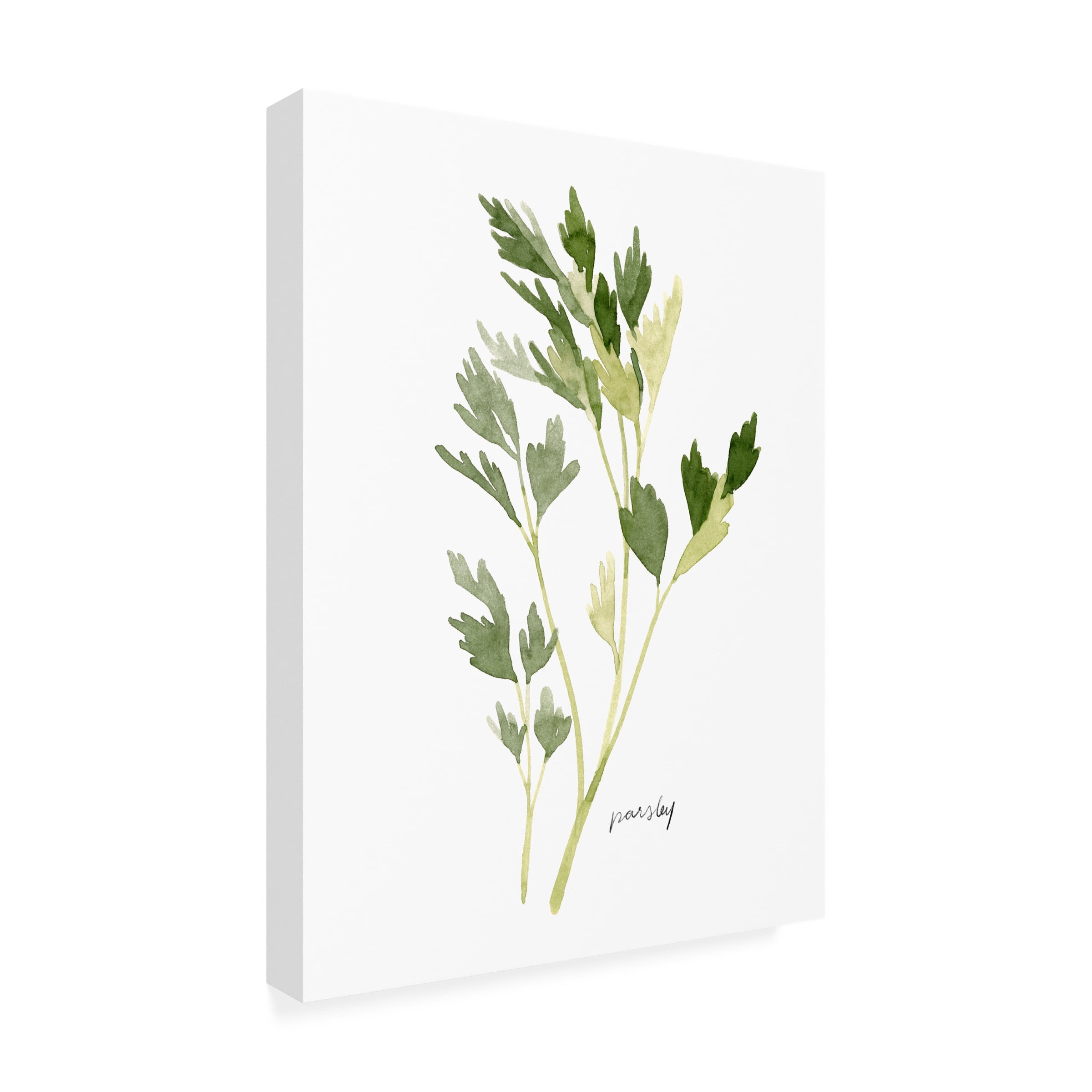 Emma Scarvey 'Herb Garden Sketches II' Canvas Art
