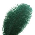 thumbnail image 2 of Plumas de Avestruz Ballinger Negro Verdoso 30-35 cm 24 piezas, 2 of 6