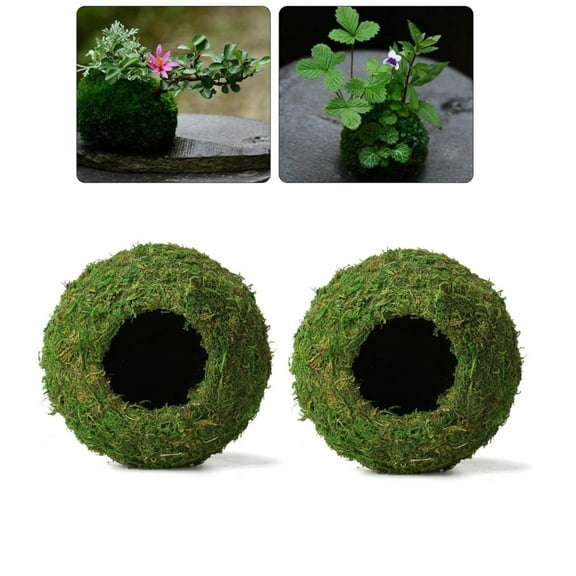 Portable Weave Planter,2Pack Handmade Moss Planter for Garden,TGY Durable Flower Pot for Home Table Decoration