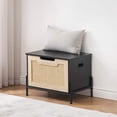 thumbnail image 1 of Ourlova Storage Bench Rattan Entryway Bench with Seat Cushion for Entryway, Living Room, Bedroom, Black, 1 of 10