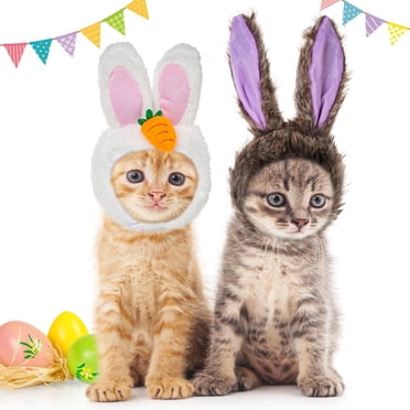 Easter Bunny Vest and Bow Tie Kit - Walmart.com