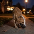 thumbnail image 4 of Brown Pvc Soft Mesh Dog Muzzle with Reflective Strip for Nighttime Walks and Comfortable 3d Design, 4 of 5