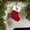 Red N, variant on Mini Christmas Stockings with Initials A, 7.5Inch Letter Embroidered Xmas Stockings, Knitted Red-White Xmas Stocking Christmas Socks Bags for Christmas Party, Family Fireplace Decorations