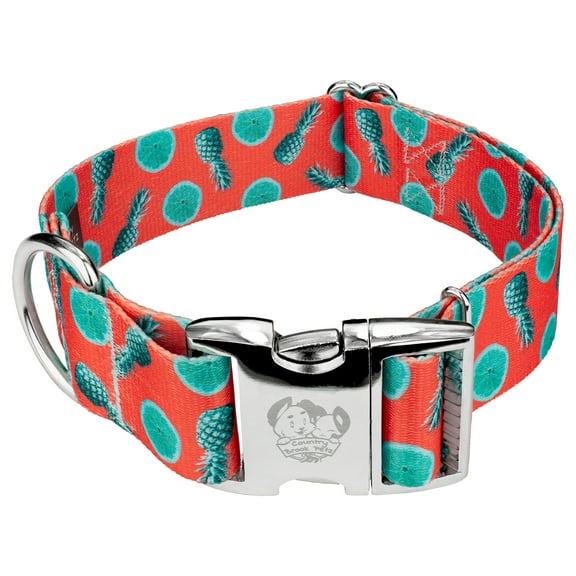 Country Brook Petz® 1 1/2 inch Premium Tropical Tango Dog Collar, Extra Large