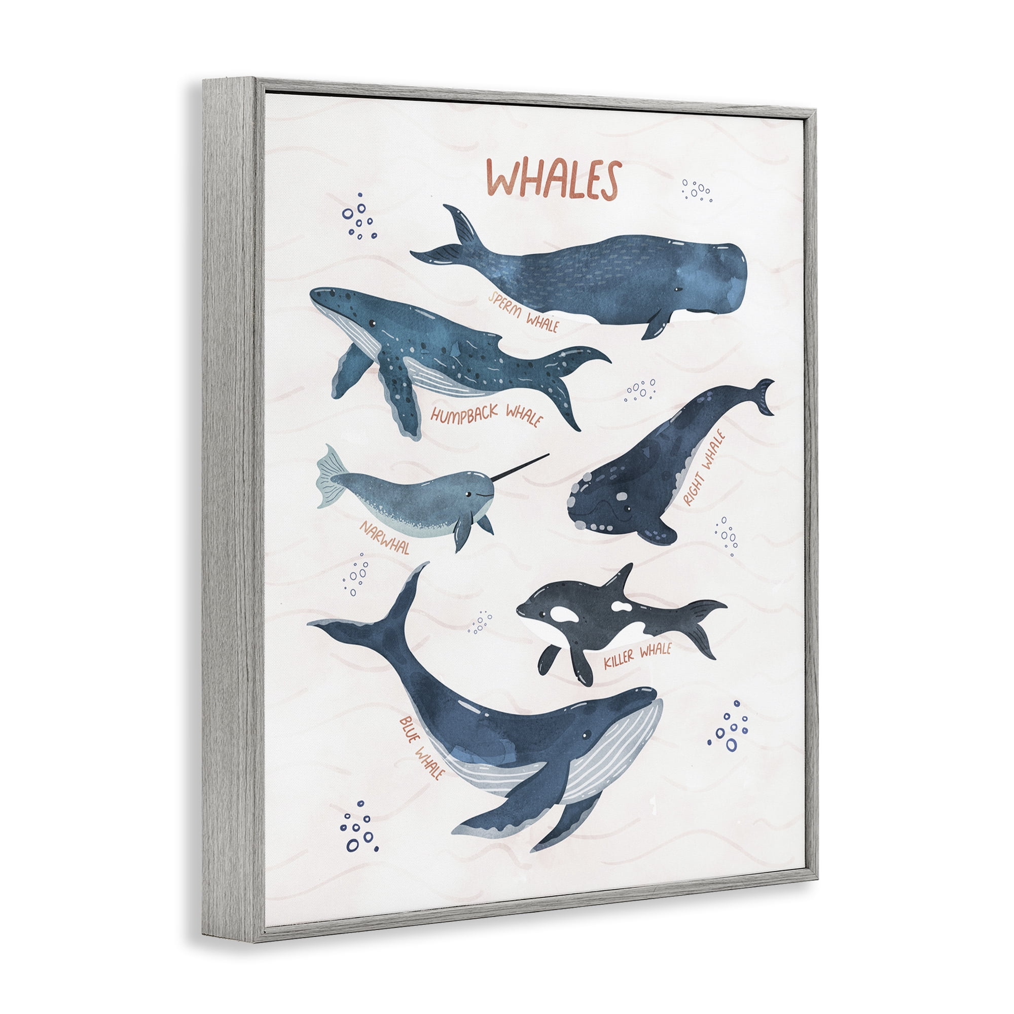 Stupell Industries Whales of the World Animals & Insects Painting Gray Framed Art Print Wall Art, 24 x 30
