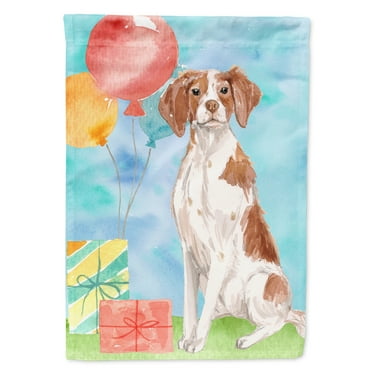 Happy Birthday Brittany Spaniel Garden Flag